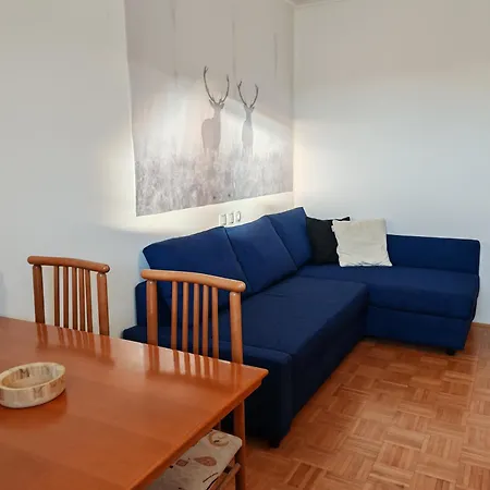 Apartma Roglina * Zrece