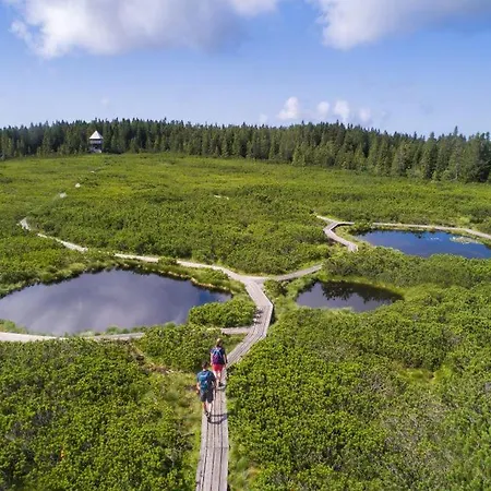 아파트 Apartma Roglina