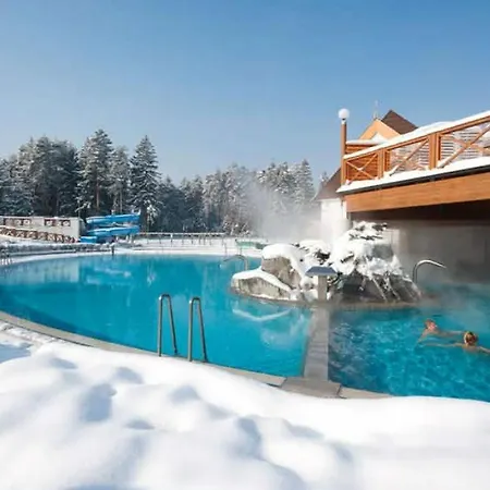 Apartma Roglina Appartement Zreče