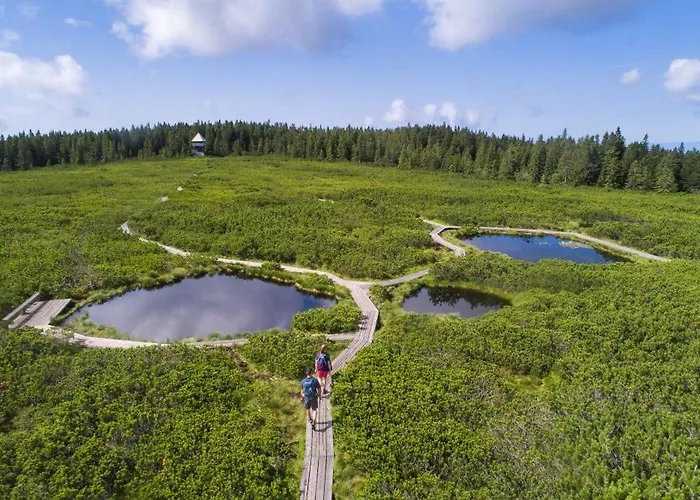 Апартаменты Apartma Roglina